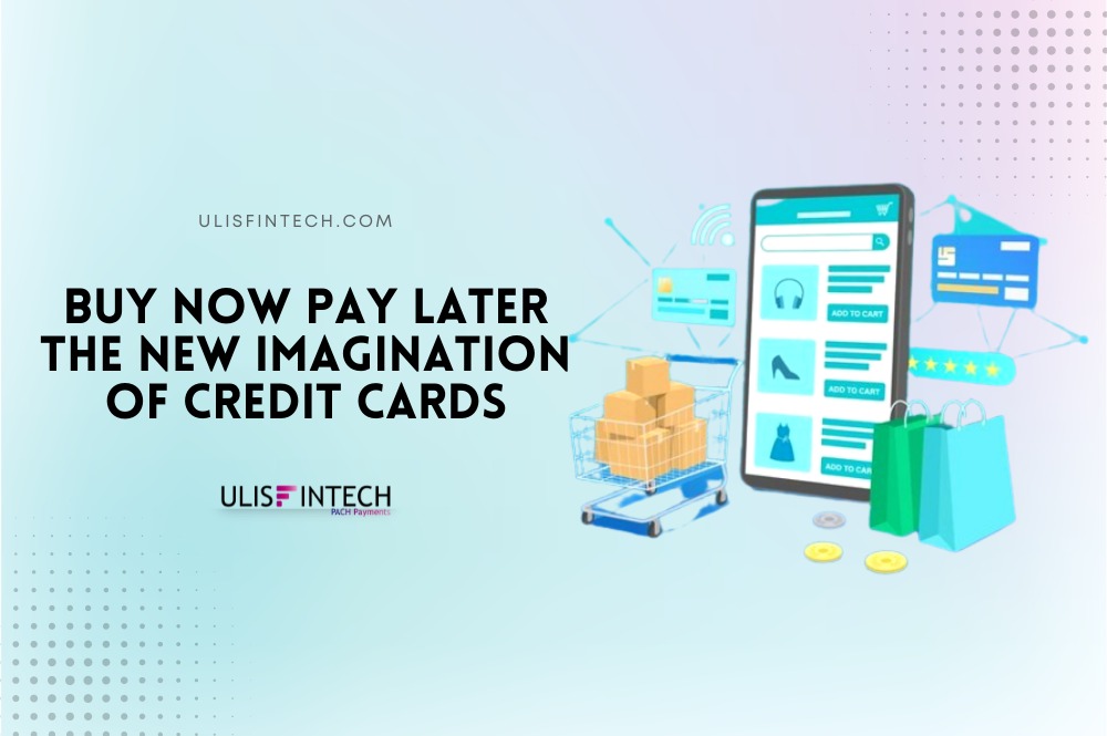 ULIS Fintech-New Credit Scheme - Buy Now Pay Later